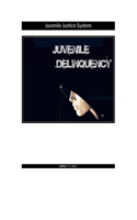 Juvenile Justice System