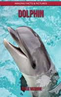 Dolphin: Amazing Facts & Pictures