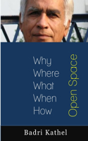 Open Space: Why, Where, When, What, How