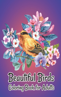 Beautiful Birds Coloring Book for Adults