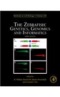 The Zebrafish