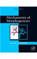 Mechanisms of Morphogenesis