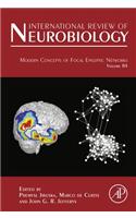 Modern Concepts of Focal Epileptic Networks