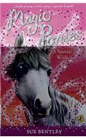 Magic Ponies: A Special Wish: (2 Magic Ponies)