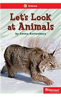 Storytown: Below Level Reader Teacher's Guide Grade 1 Let's Look at Animals