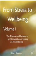 From Stress to Wellbeing, Volume 1