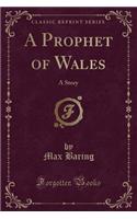 A Prophet of Wales: A Story (Classic Reprint)