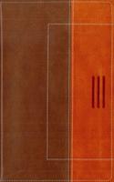 NIV/ The Message Parallel Bible