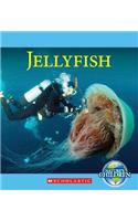 Jellyfish (Nature's Children)