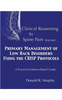 Clinical Reasoning in Spine Pain. Volume I