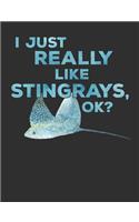 I Just Really Like Stingrays OK?: Wide Ruled Notebook, Diary or Journal for School, Work, or Journaling