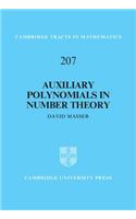 Auxiliary Polynomials in Number Theory