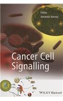 Cancer Cell Signalling