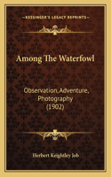 Among The Waterfowl