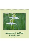 Hampshire's Sublime Wild Orchids 2017