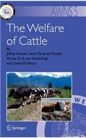 Welfare of Cattle
