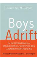 Boys Adrift