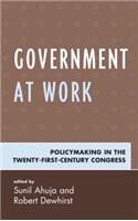Government at Work
