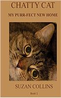Chatty Cat: The First Six Months