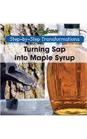 Turning SAP Into Maple Syrup: (Step-By-Step Transformations)