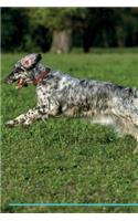 English Setter Affirmations Workbook English Setter Presents: Positive and Loving Affirmations Workbook. Includes: Mentoring Questions, Guidance, Supporting You.