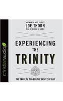 Experiencing the Trinity: The Grace of God for the People of God