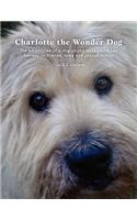 Charlotte the Wonder Dog