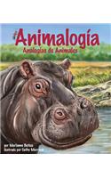 Animalogia: Analogias de Animales