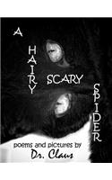 Hairy Scary Spider