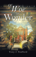 Of Woe or Wonder