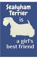 Sealyham Terrier is a girl's best friend