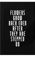 Flowers Grow Back Even After They Are Stepped On