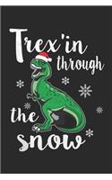 Trex in through the snow
