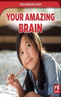 Your Amazing Brain