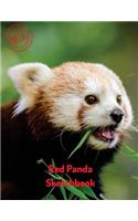 Red Panda Sketchbook: (Sketchbook for Teens)