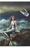 Mermaid on the Rocks Diary