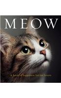 Meow