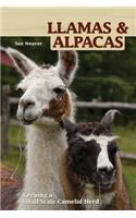 Llamas and Alpacas: Small-Scale Herding for Pleasure and Profit