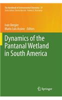 Dynamics of the Pantanal Wetland in South America