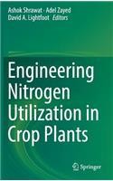 Engineering Nitrogen Utilization in Crop Plants