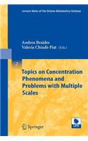 Topics on Concentration Phenomena and Problems with Multiple Scales: (English)