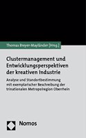 Clustermanagement Und Entwicklungsperspektiven Der Kreativen Industrie