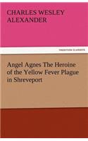 Angel Agnes the Heroine of the Yellow Fever Plague in Shreveport