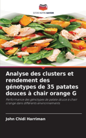 Analyse des clusters et rendement des génotypes de 35 patates douces à chair orange G