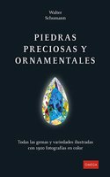 PIEDRAS PRECIOSAS Y ORNAMENTALES