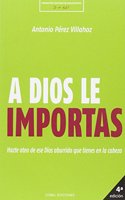 Homilias de Benedicto XVI : A los jovenes