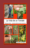 La Vida de Un Tomate