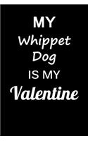 My Whippet Dog Is My Valentine