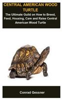 Central American Wood Turtle