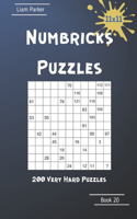 Numbricks Puzzles - 200 Very Hard Puzzles 11x11 Book 20